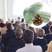 Pine Tree as a business gift